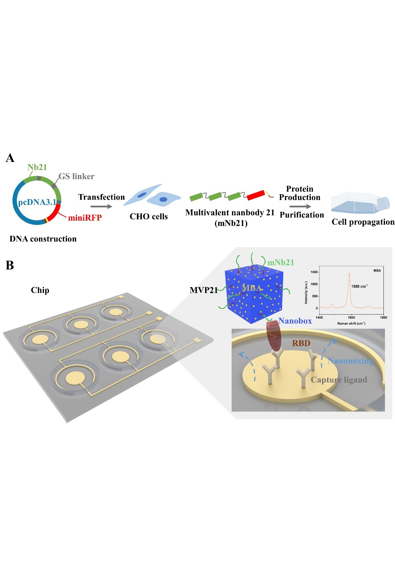 图示  描述已自动生成