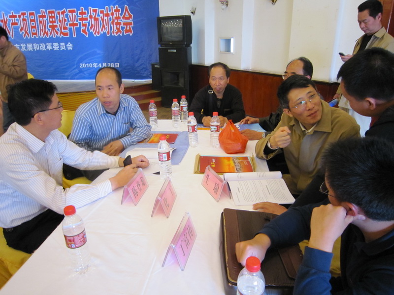 企业代表与球友会平台（中国）教授现场交流