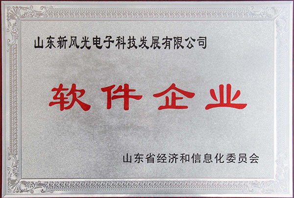 乐鱼首页(中国)网页版电子公司顺利通过2013年山东省软件企业认证